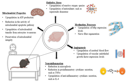 HBOT w chorobach neurologicznych: korzystne efekty molekularne i terapeutyczne