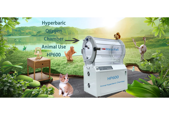 m size hp600 pet hyperbaric chamber 1